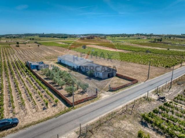 Armazém venda em Frade de Cima, Alpiarça