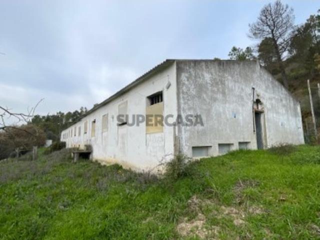 Armazém venda em Santarém