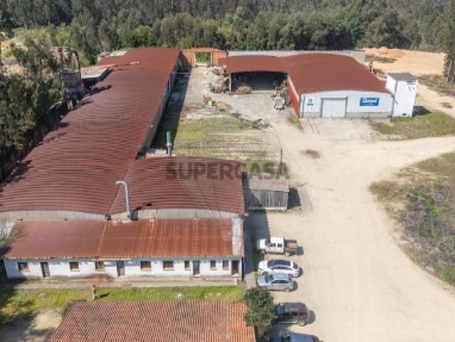 Armazém venda em Águeda, Aveiro