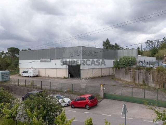 Armazém venda em Coimbrã, Brasfemes