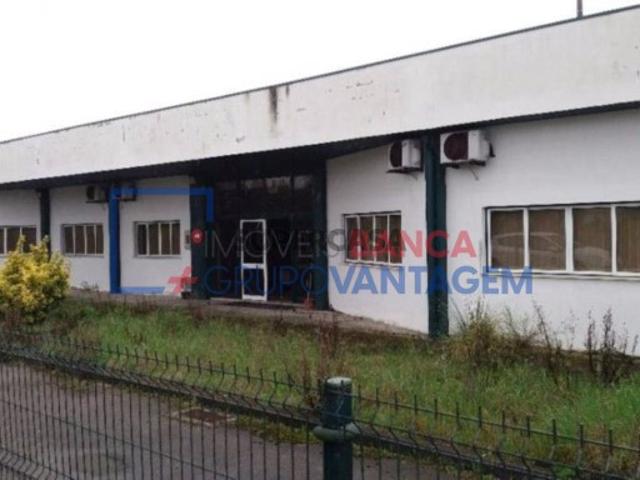 Armazém venda em Cantanhede, Coimbra