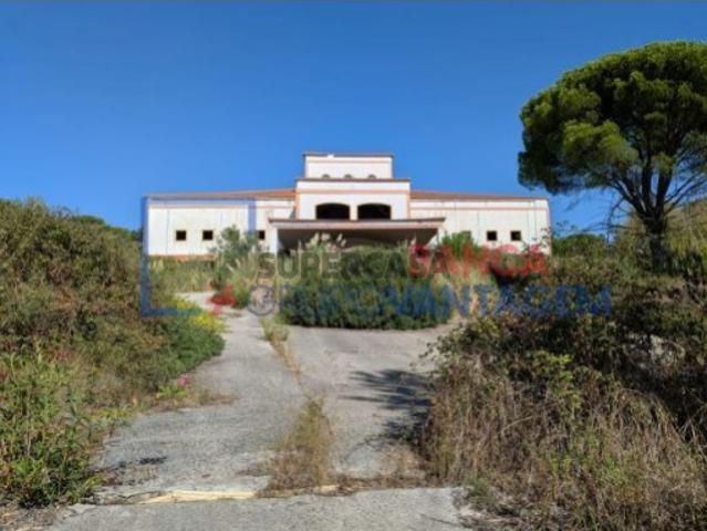 Armazém venda em Coruche, Santarém