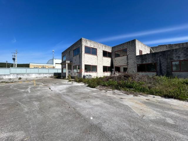 Armazém venda em Constância, Santarém