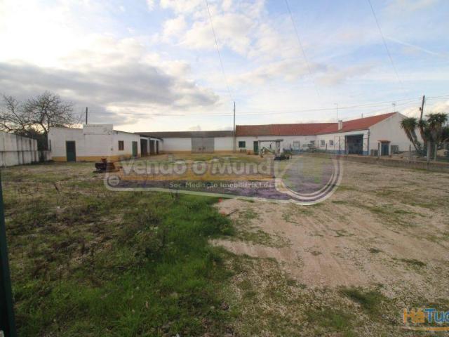 Armazém venda em Coruche, Santarém