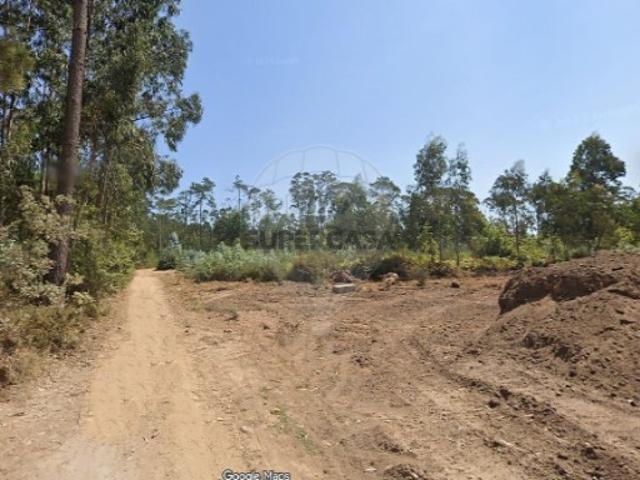 Armazém venda em Oliveira De Azeméis, Aveiro