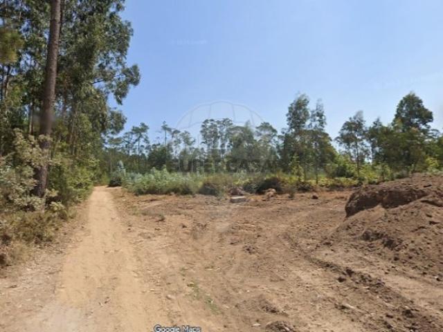 Armazém venda em Oliveira De Azeméis, Aveiro