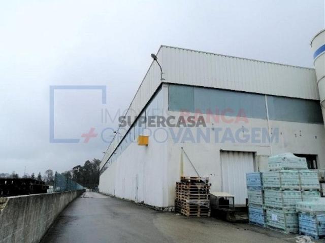 Armazém venda em Oliveira Do Bairro, Aveiro