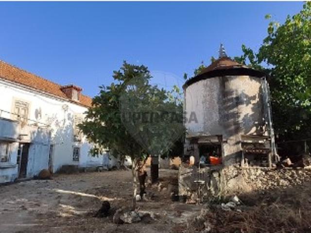 Armazém venda em Olaia e Paço, Torres Novas