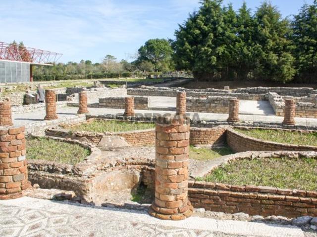 Armazém venda em Condeixa-a-nova