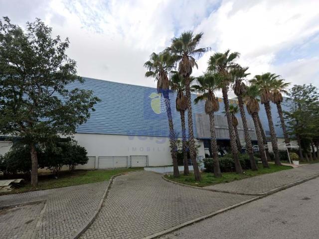 Loja venda em Quintanilho, Vialonga