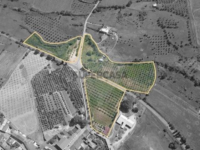 Armazém venda em Vidigueira, Beja