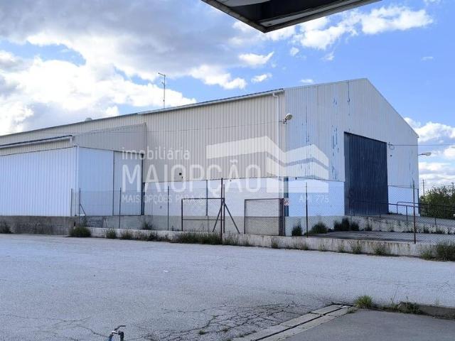 Armazém venda em Guarda, Almeida