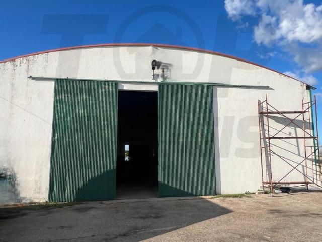 Armazém venda em Salvaterra De Magos, Santarém