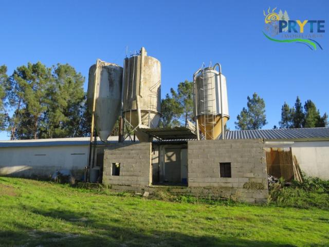 Armazém venda em Castelo Branco, Cumeada