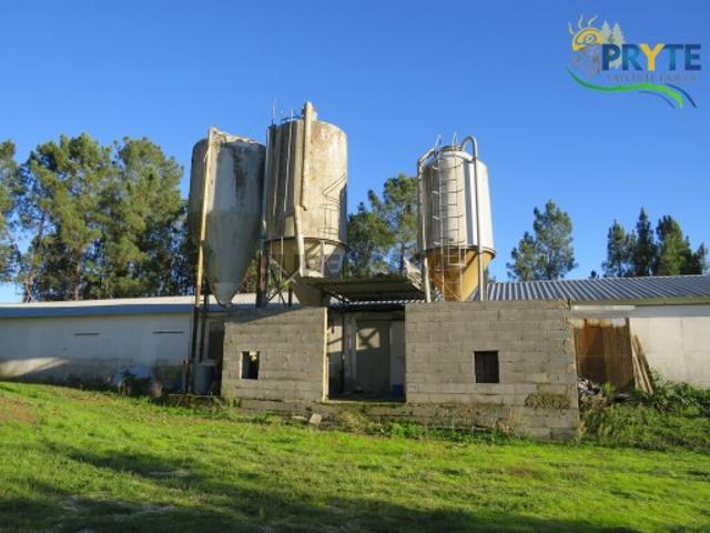 Armazém venda em Castelo Branco, Cumeada