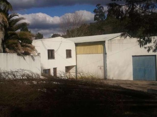 Armazém venda em Bemposta, Abrantes