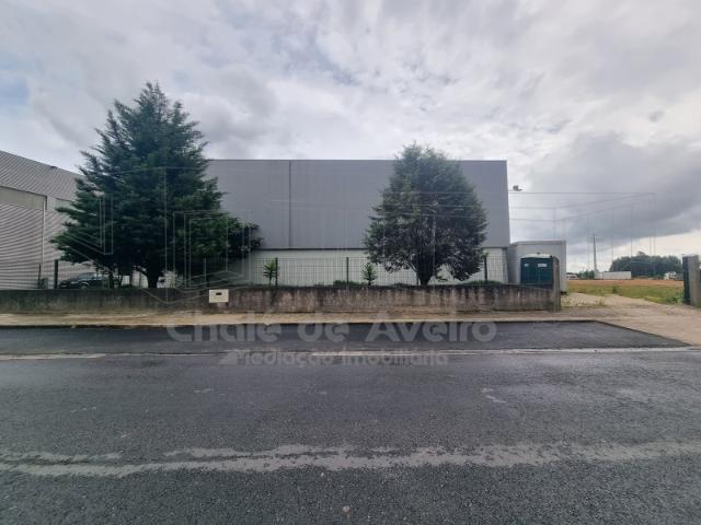 Armazém venda em Assilhó, Albergaria-a-velha