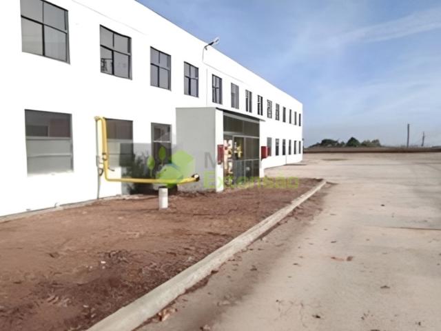 Armazém venda em Torres Novas, Santarém
