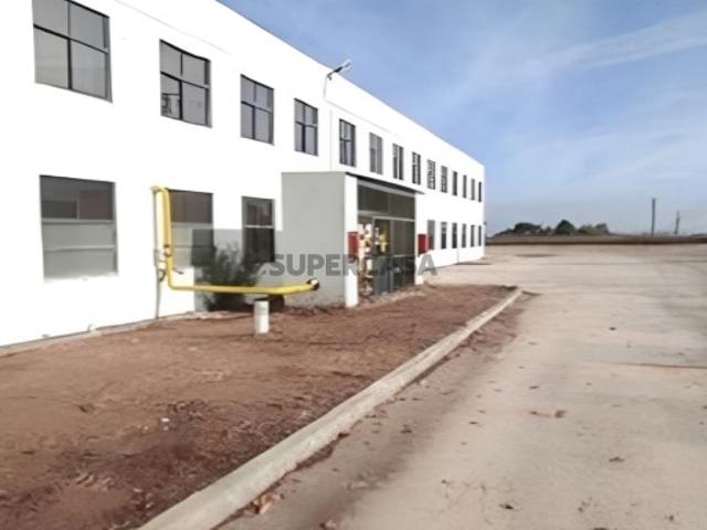 Armazém venda em Torres Novas, Santarém