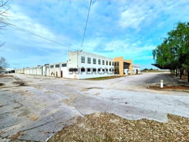 Armazém venda em Torres Novas, Santarém