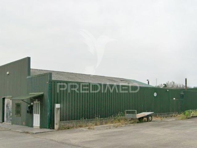 Armazém venda em Águeda, Aveiro