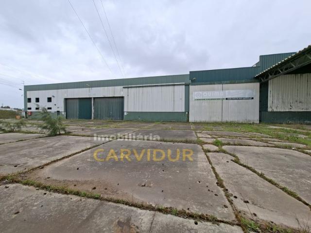 Armazém alugar em Setúbal