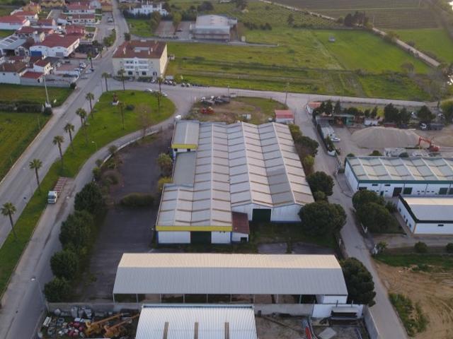 Armazém venda em Chamusca e Pinheiro Grande, Chamusca