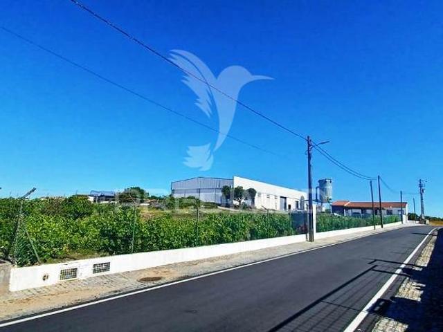 Armazém venda em Portalegre