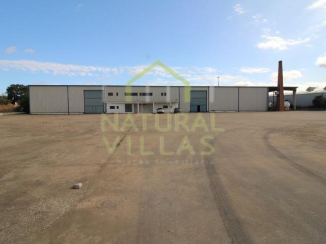 Armazém venda em São Brás De Alportel, Faro