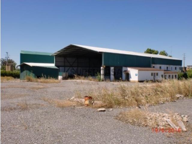 Armazém venda em Crato, Portalegre
