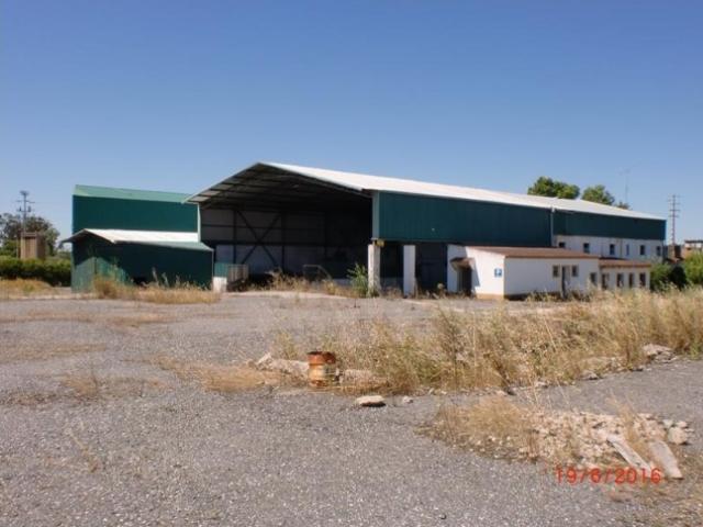 Armazém venda em Crato, Portalegre