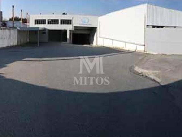 Armazém venda em Antas, São Paio de Cima