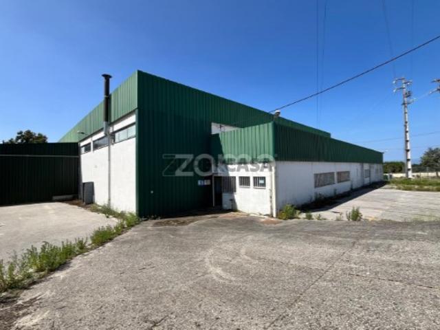 Armazém venda em Nelas