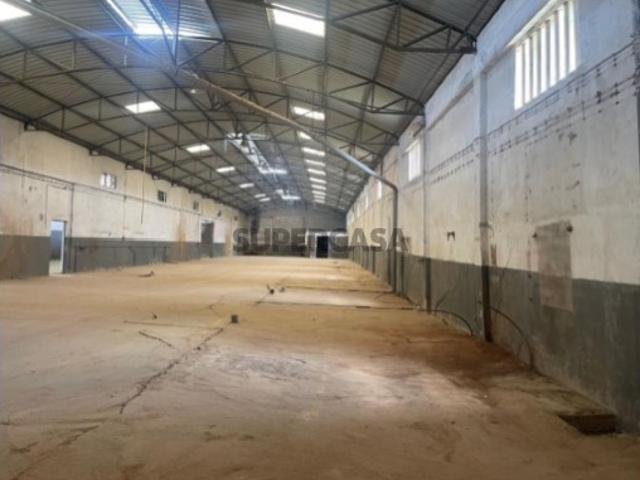 Armazém venda em Santarém