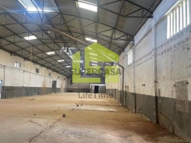 Armazém venda em Santarém