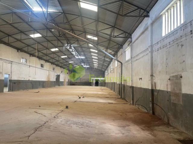 Armazém venda em Santarém