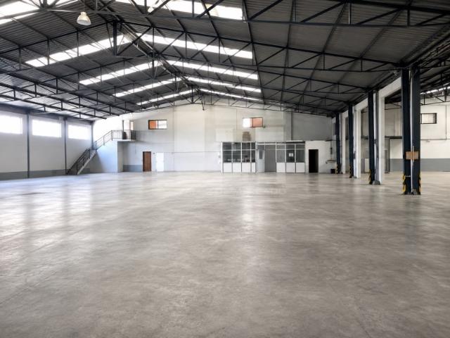 Armazém venda em Torres Novas, Santarém