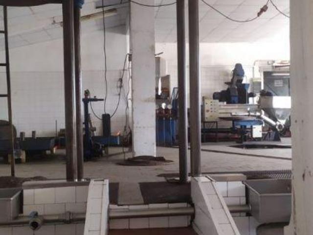 Armazém venda em Rego Da Murta, Santarém