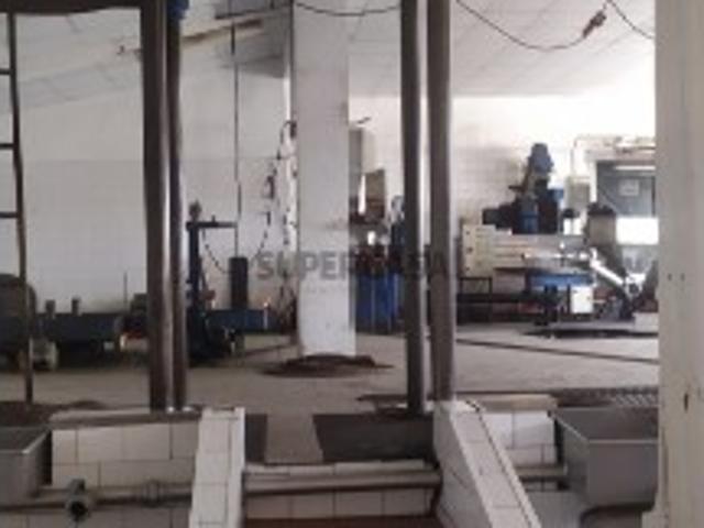 Armazém venda em Quinta das Acácias, Rego Da Murta
