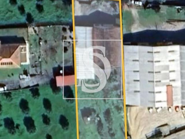 Armazém venda em Entroncamento, Nossa Senhora De Fátima