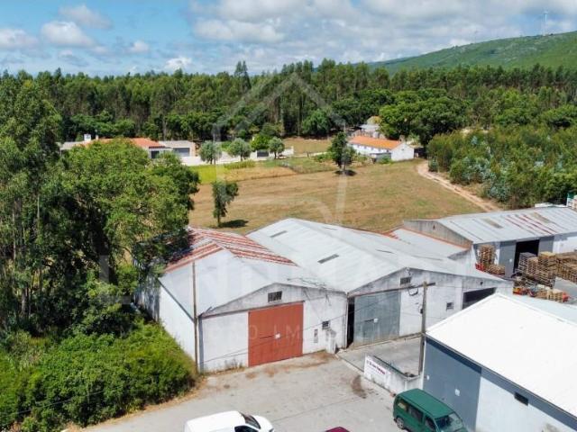 Loja venda em Moita do Gavião, Alcobaça