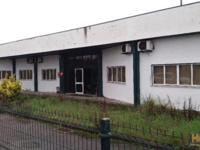 Armazém venda em Cantanhede, Coimbra