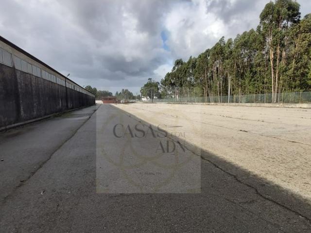 Armazém venda em Anadia, Aveiro