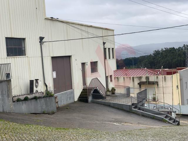Armazém alugar em Silvares