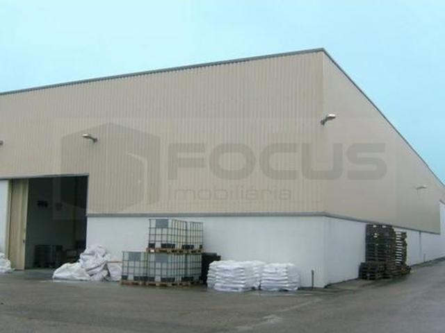 Armazém alugar em Aveiro