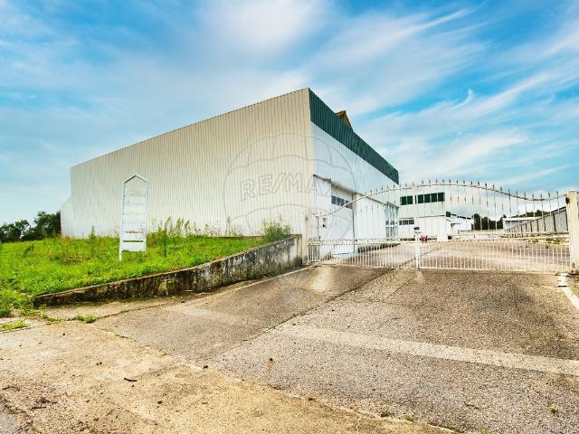 Armazém alugar em Torres Novas, Santarém