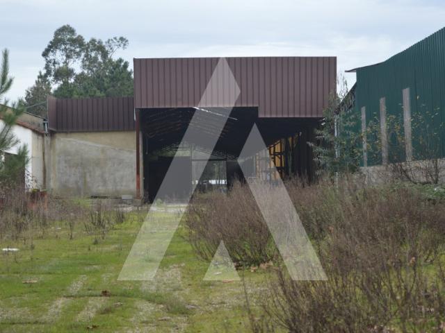 Armazém venda em Anadia, Aveiro