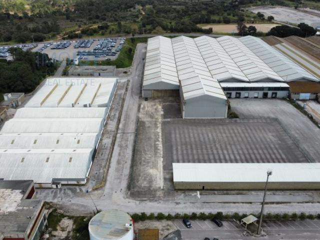Armazém alugar em Setúbal