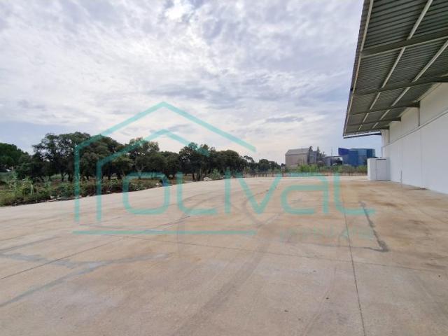 Armazém alugar em Benavente, Santarém