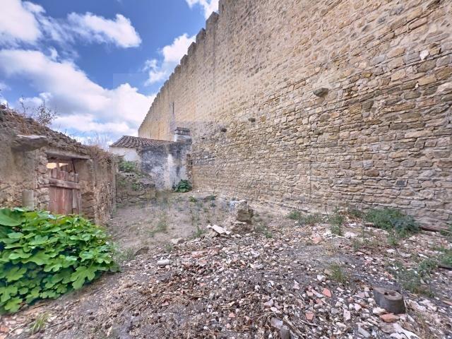 Armazém venda em Óbidos, Pinhal
